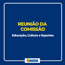 Comissão de Educação aprova projeto que visa instalação de câmeras em escolas municipais 