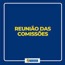 Comissões analisam projetos nesta quinta-feira (08)