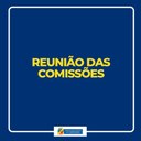 Projeto de Lei Complementar que altera o plano de cargos e carreiras foi avaliado pela CSP na quarta-feira (09)